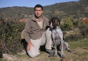 adiestramiento de perros en madrid