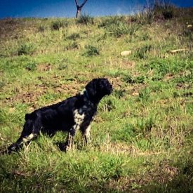 Bretona se muestra muy lejana